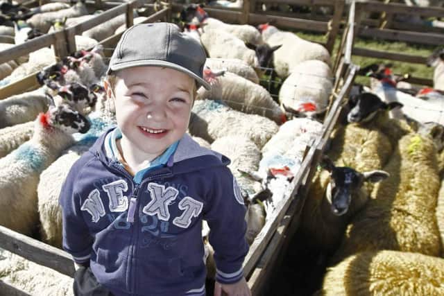 Young Liam Magee at the show and sale in Cushendun in September 2012