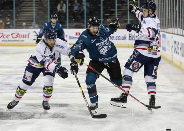 Belfast Giants’ Lewis Hook in action against the Dundee Star at the SSE Arena. Picture: William Cherry/Presseye