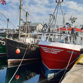 Some of the fleet in Portavogie Harbour in late summer of 2021. Picture: Darryl Armitage