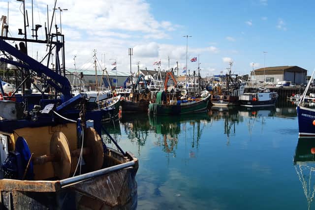 Portavogie Harbour in late summer of 2021. Picture: Darryl Armitage