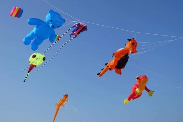 Rosepark Farm Kite Festival this Saturday and Sunday