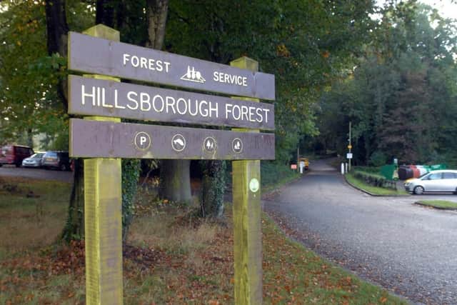 Hillsborough Forest Park is popular amongst families thanks to its parking facilities, playground, picnic benches and walks, with refreshments available from Percy’s Coffee in the carpark