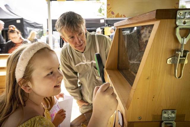 There were plenty of hands on lessons for all ages at the Honey Fair