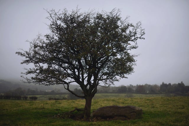 Located a few miles outside this County Londonderry village, this lone Hawthorn tree supposedly holds a terrible secret - it is in fact the grave of Abhartach, who in the 5th or 6th century AD, according to myth, fed off the blood of his own subjects.

After multiple attempts to kill him, a druid ordered a large stone be placed on top of the grave to prevent another resurrection. 

Unfortunately the site is not signposted and is located on private land off the A29 road, but the lore is definitely worth a read.