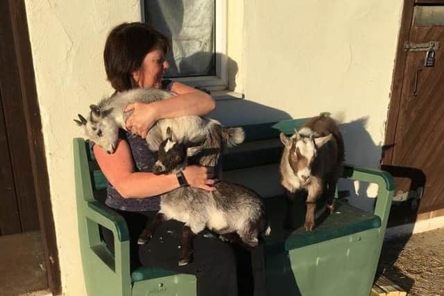 The pygmy goats are full of love for owner Margaret