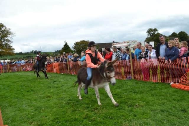 Action from the donkey derby at Parkgate. I
NBT 39- DONKEY DERBY 1.