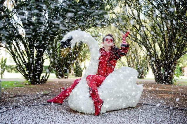 There's snow doubt about it -  Enchanted Winter Garden is on its way back to Antrim Castle Gardens