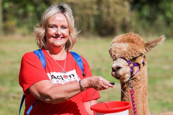 Geraldine Kerr, Action Cancer’s Head of Professional Services, encourages local people to sign up to Action Cancer’s Trek to Machu Picchu in Peru, in November 2023. Alpacas, like those pictured here, can be found along the ancient Inca Trail enhancing the magic of the trekking experience.