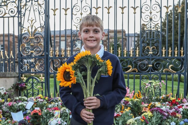 Alfie Armstrong from Ballymacash Primary School with sunflowers for the Queen. Pic by Norman Briggs, rnbphotographyni