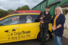 Pam Cameron MLA is pictured with Rosie and Ballymena Rehoming Centre Manager Conor O’Kane.