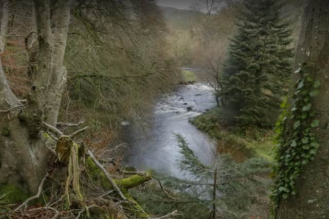 Mourne Park winter still.