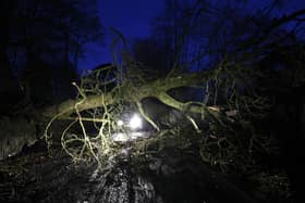 A fallen tree blocks a motorist's path on the Loughermore Road, Antrim on Monday morning following Storm Isla. Picture: Stephen Davison