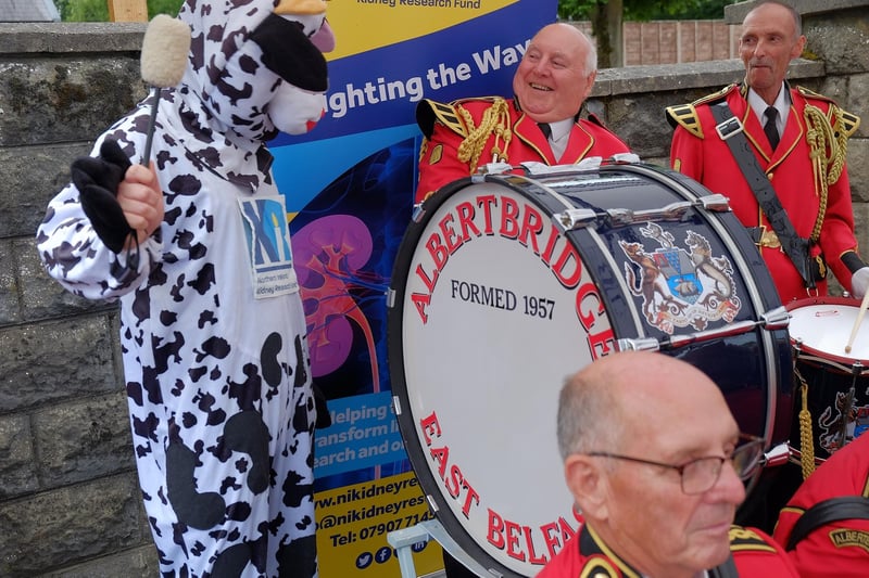 Bella the Cow mascot at Waringstown Cavalcade in aid of N. Ireland Kidney Research Fund CREDIT: LiamMcArdle.com