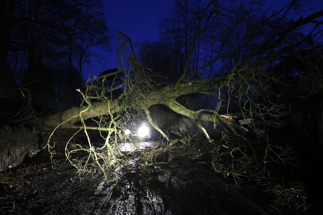 A fallen tree blocks a motorists path on the Loughermore Road, Antrim on Monday morning.
