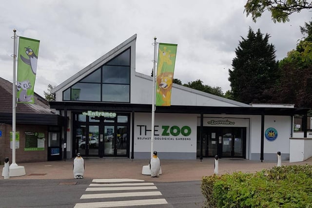 Belfast Zoo is taking part in the Northern Ireland Science Festival 2024 with an educational workshop on Saturday, February 17. The workshop is open to children aged 10 and over. Workshop price is £25. For workshop information, or to book your place, call 028 9077 6277, or email info@belfastzoo.co.uk