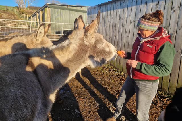 Anne has six donkeys she uses as part of the Learning in Harmony with Donkeys programme. Pic credit: NIWD