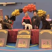 Groomers got talent 2024 - beginners category winners