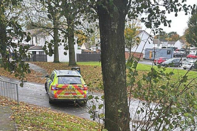 Police at the scene of the Craigavon security alert on Sunday.