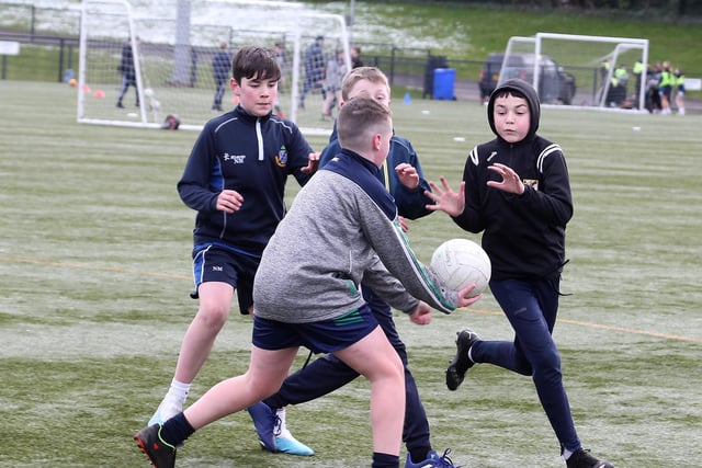 Pupils from St Mary's Limavady, Limavady High, Limavady Grammar and St Patrick's College, Dungiven, all took part in the project