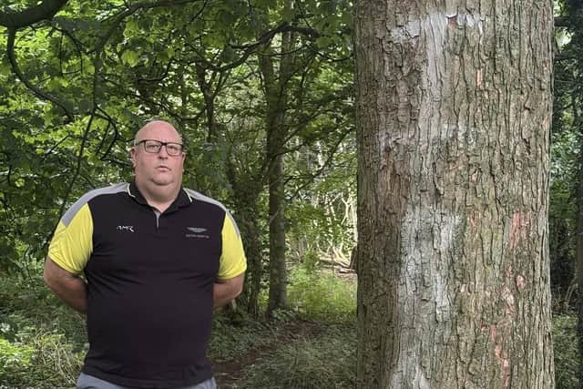 Armagh, Banbridge and Craigavon Councillor Peter Haire is disgusted with the sectarian graffiti at Lurgan Park and has requested CCTV for the popular tourist spot.