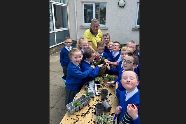 Alan McDowell from Portadown Wellness Centre with children from P2 and P3 at St Mary's Primary School, Derrytransa. He was helping ‘to support them plan and develop their very own school garden’.