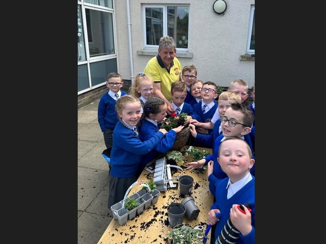 Alan McDowell from Portadown Wellness Centre with children from P2 and P3 at St Mary's Primary School, Derrytransa. He was helping ‘to support them plan and develop their very own school garden’.