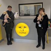 Diane Dodds MLA along with the Dogs Trust centre manager Connor O'Kane