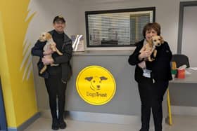 Diane Dodds MLA along with the Dogs Trust centre manager Connor O'Kane