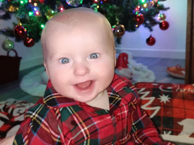 6 month old Tom.