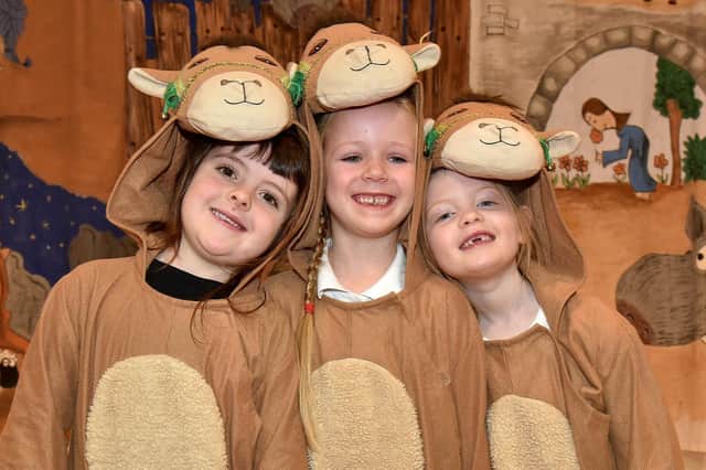 pupils of Cope Primary School, Loughgall, who played the camels in the school KS1 nativity play, Hey Ewe! PT50-505.