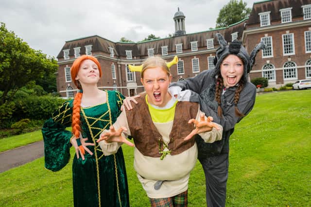 Freya as Princess Fiona, Nicole as Shrek and Meghan as Donkey. Pic credit: BSPA