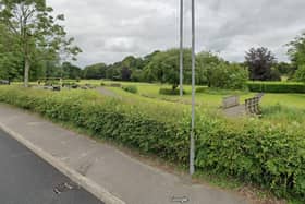 The popular Manor Park in Moneymore is in for a revamp this autumn. Credit: Google Maps
