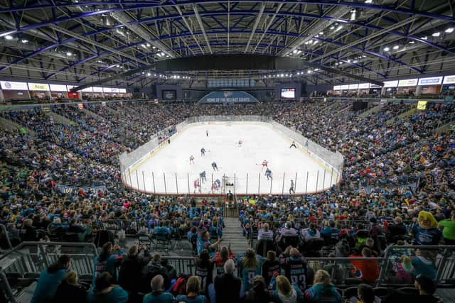 The Belfast Giants have been nominated for European club of the year. Picture: Philip Magowan/PressEye