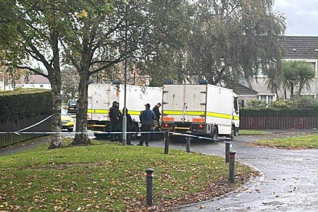 Police at the scene of a security alert in the Meadowbrook area of Craigavon.