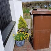 Brown bin collections are returning to a fortnightly schedule for all households across the ABC Borough. Picture: National World