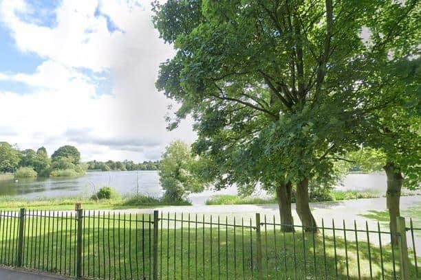 A cat was killed by a dog in full view of traumatised schoolchildren in Lurgan Park on May 26. Credit: Google