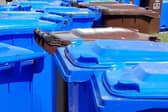 Council has been considering the possibility of householders who block footpaths with their bins being fined.
