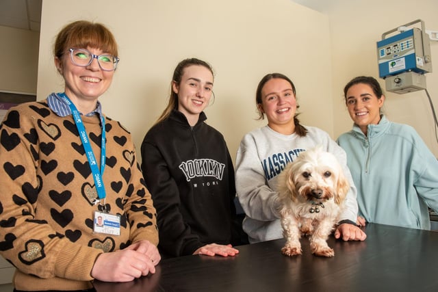 Veterinary Lecturer Niamh Toner with Alex McKeever,  Rhianna Logan, and Alicia Woods at Open Day at NWRC's Limavady campus.