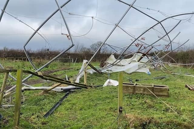 This 25-metre polytunnel at Jubilee Farm near Larne was destroyed by Storm Isha.  Photo: National World