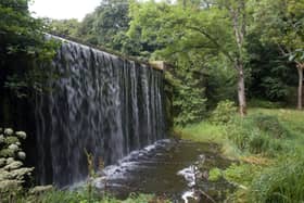 Restoration of unique Dam at Dungannon Park is set to get underway. Credit: MUDC