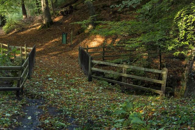 Crawfordsburn Country Park. Picture: Discover Northen Ireland