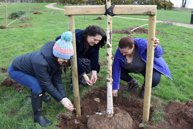 Forget-me-not group members planting bulbs around their memorial tree