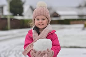 Enjoying the snow in Northern Ireland earlier this week. Picture: Pacemaker