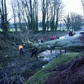 Workers at Massereene Golf Club clearing away a fallen tree on the Lough Road, Antrim on Monday following the devastation of Storm Isha. Picture: Stephen Davison / Pacemaker