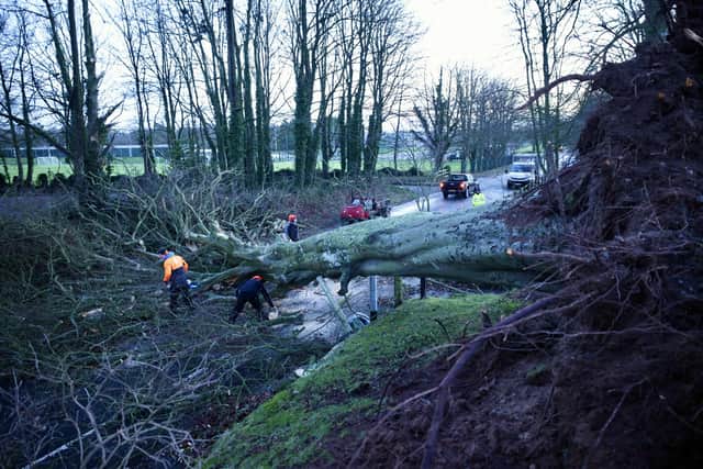 Workers at Massereene Golf Club clearing away a fallen tree on the Lough Road, Antrim on Monday following the devastation of Storm Isha. Picture: Stephen Davison / Pacemaker