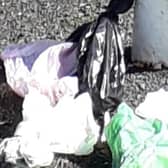 New initiative proposed to tackle dog fouling (stock image).