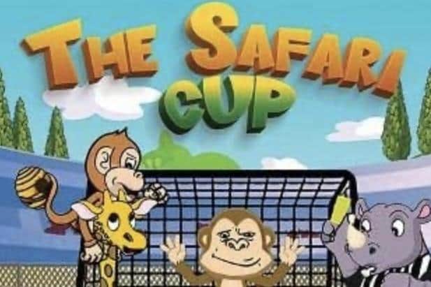 The Safari Cup by Lisburn man Andy Murdock