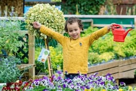 Dobbies in Lisburn hosts free summer workshops. Pic credit: Dobbies