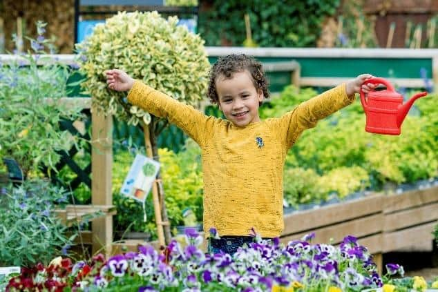 Dobbies in Lisburn hosts free summer workshops. Pic credit: Dobbies