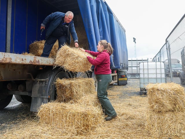 Getting on with the job ahead of the show.